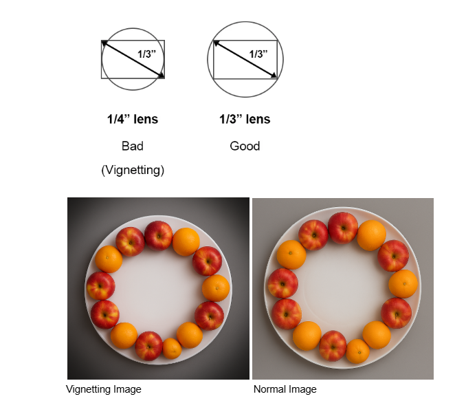 copatible lens image